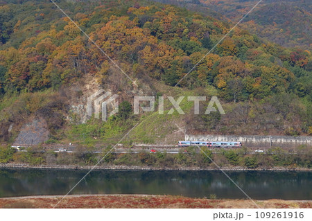 高梁川の紅葉と伯備線227系電車(岡山⇔新見) 高梁川の紅葉と伯備線227系電車(岡山⇔新見) 109261916