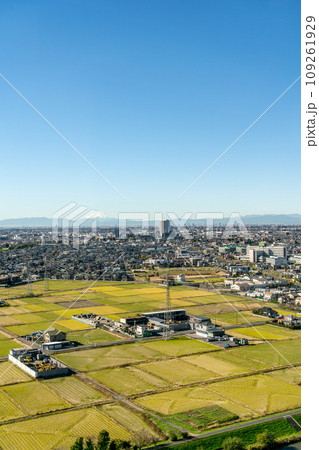 【埼玉県】秋晴れの青空が広がる越谷の街並みと田園風景（11月） 109261929