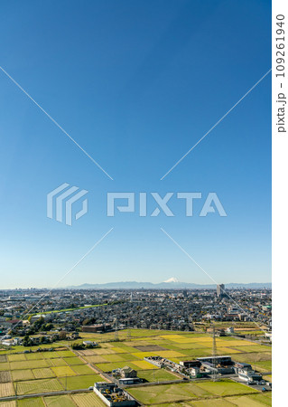 【埼玉県】秋晴れの青空が広がる越谷の街並みと田園風景(11月) 【埼玉県】秋晴れの青空が広がる越谷の街並みと田園風景(11月) 109261940