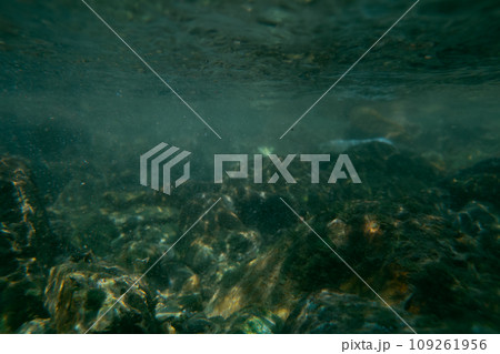 play in the river play in the river 109261956