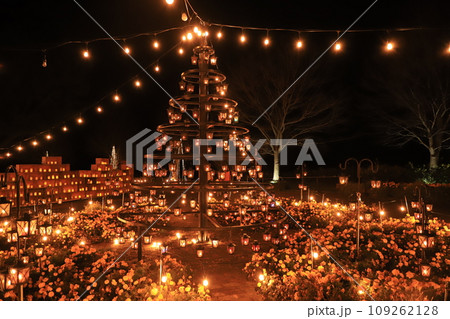 やくらいガーデンのイルミネーションイベント 109262128