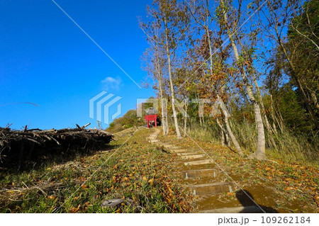 大分県玖珠町、耶馬渓方面へ向かう県道二十八号線をドライブ、赤い鳥居が並ぶ山を見つけ 109262184