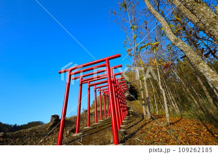 大分県玖珠町、耶馬渓方面へ向かう県道二十八号線をドライブ、赤い鳥居が並ぶ山を見つけ 大分県玖珠町、耶馬渓方面へ向かう県道二十八号線をドライブ、赤い鳥居が並ぶ山を見つけ 109262185