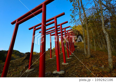 大分県玖珠町、耶馬渓方面へ向かう県道二十八号線をドライブ、赤い鳥居が並ぶ山を見つけ 109262186