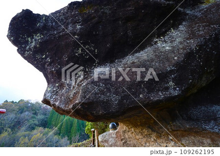 大分県玖珠町、耶馬渓方面へ向かう県道二十八号線をドライブ、赤い鳥居が並ぶ山を見つけ 109262195