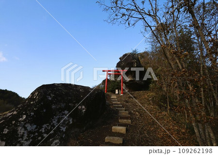 大分県玖珠町、耶馬渓方面へ向かう県道二十八号線をドライブ、赤い鳥居が並ぶ山を見つけ 109262198