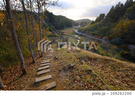 大分県玖珠町、耶馬渓方面へ向かう県道二十八号線をドライブ、赤い鳥居が並ぶ山を見つけ 109262200