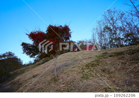 大分県玖珠町、耶馬渓方面へ向かう県道二十八号線をドライブ、赤い鳥居が並ぶ山を見つけ 大分県玖珠町、耶馬渓方面へ向かう県道二十八号線をドライブ、赤い鳥居が並ぶ山を見つけ 109262206