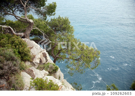Pictorial blue Adriatic sea, Croatia Pictorial blue Adriatic sea, Croatia 109262603