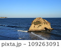 茨城県北茨城市　二ツ島（磯原海岸） 109263091