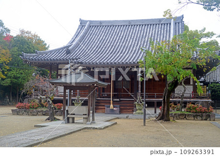 伊丹昆陽寺本堂-4 109263391