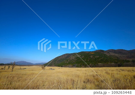 十一月の九州、くじゅう連山ドライブ、大分県九重町と熊本県小国町とふたつの県をまたぐ 109263448