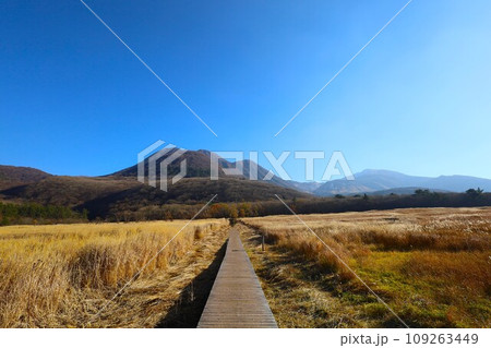 十一月の九州、くじゅう連山ドライブ、大分県九重町と熊本県小国町とふたつの県をまたぐ 109263449