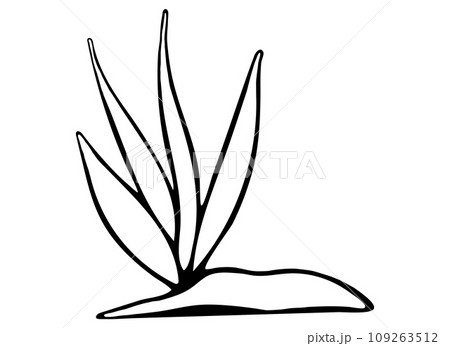 Black and White Grass with Stone Illustration Isolated on White Background. 109263512