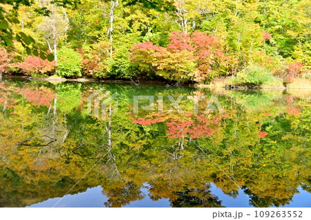 鎌池の水面を飾る紅葉 鎌池の水面を飾る紅葉 109263552