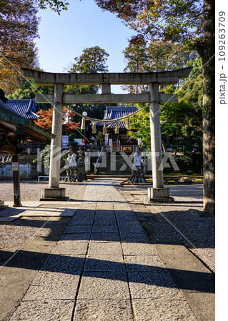 深谷駅前の瀧宮神社(埼玉県深谷市) 深谷駅前の瀧宮神社(埼玉県深谷市) 109263709