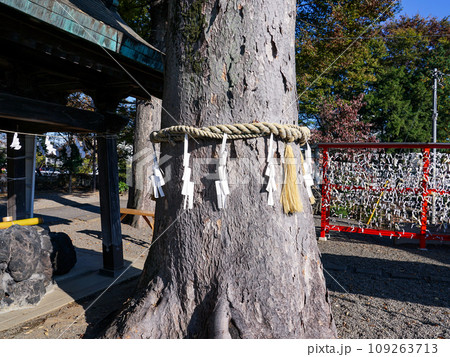 深谷駅前の瀧宮神社（埼玉県深谷市） 109263713