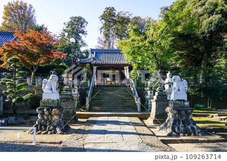 深谷駅前の瀧宮神社（埼玉県深谷市） 109263714