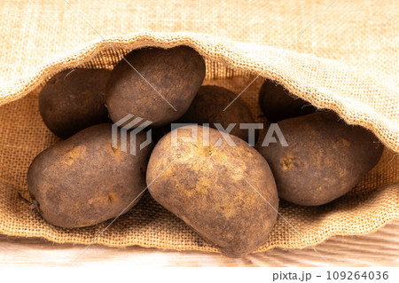 じゃがいも（インカのめざめ） 109264036
