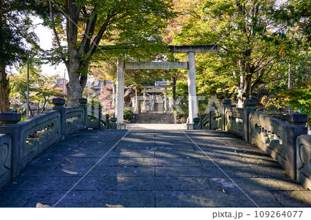 深谷駅前の瀧宮神社(埼玉県深谷市) 深谷駅前の瀧宮神社(埼玉県深谷市) 109264077