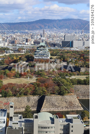十一月の大阪、紅葉の大阪城公園、秋空の大阪城を望む、オオサカビジネスパーク、新しいホテル 109264276