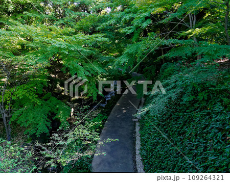 都市公園徳川園散策路 虎仙橋から見た遊歩道 都市公園徳川園散策路 虎仙橋から見た遊歩道 109264321