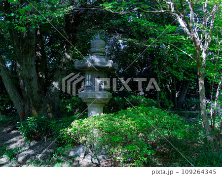 都市公園徳川園 池泉回遊式庭園 都市公園徳川園 池泉回遊式庭園 109264345