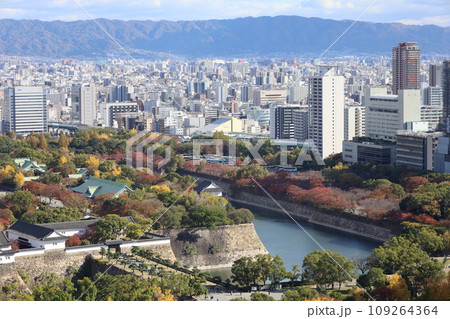 十一月の大阪、紅葉の大阪城公園、秋空の大阪城を望む、オオサカビジネスパーク、新しいホテル 十一月の大阪、紅葉の大阪城公園、秋空の大阪城を望む、オオサカビジネスパーク、新しいホテル 109264364