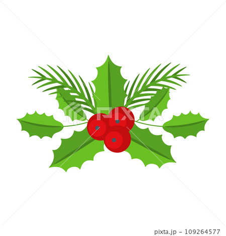 Christmas floral border. Spruce evergreen branch, poinsettia and holly berry 109264577