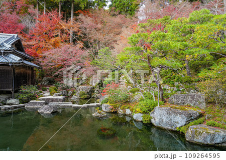 湖東三山 百済寺 秋 湖東三山 百済寺 秋 109264595