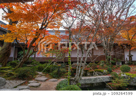 湖東三山 百済寺 秋 湖東三山 百済寺 秋 109264599