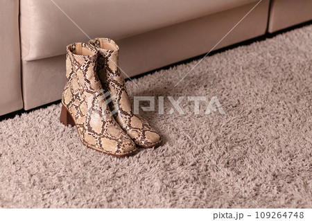 Apartment interior in beige tones with stylish snake print leather woman boots photo autumn, spring, winter shoes Apartment interior in beige tones with stylish snake print leather woman boots photo autumn, spring, winter shoes 109264748