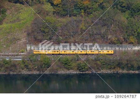 高梁川の紅葉と伯備線115系電車 109264787