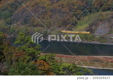 高梁川の紅葉と伯備線115系電車 高梁川の紅葉と伯備線115系電車 109264825