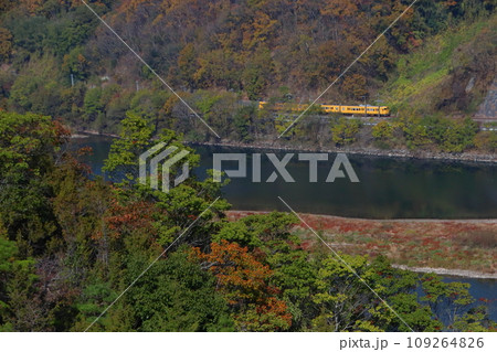 高梁川の紅葉と伯備線115系電車 109264826