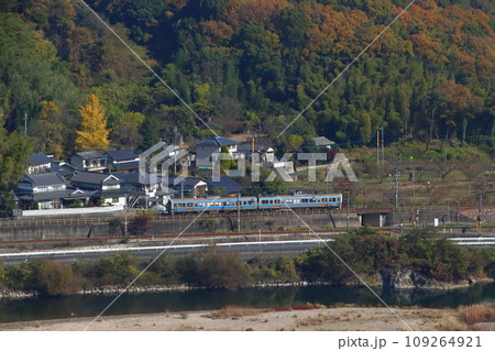 高梁川の紅葉と伯備線213系電車 109264921