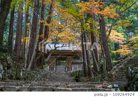 湖東三山 百済寺 秋 湖東三山 百済寺 秋 109264924