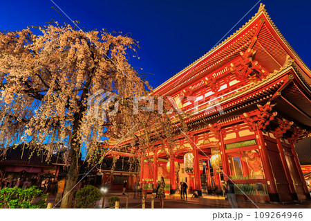 東京　台東区　浅草寺　宝蔵門と満開の桜 109264946