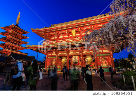 東京　台東区　浅草寺　宝蔵門と満開の桜 109264951