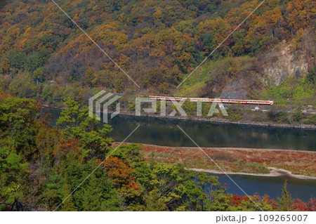 高梁川の紅葉と伯備線特急やくも号(381系国鉄色:岡山⇔出雲市) 高梁川の紅葉と伯備線特急やくも号(381系国鉄色:岡山⇔出雲市) 109265007