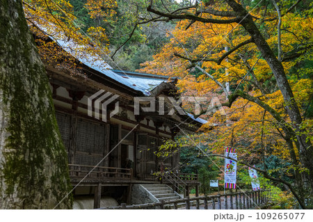 湖東三山　百済寺　秋 109265077