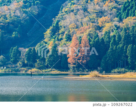 秋の琵琶湖　塩津浜 109267022