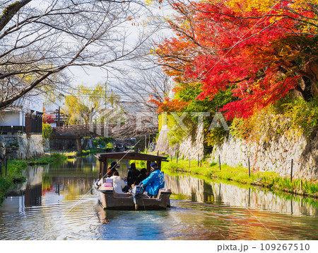 秋の近江八幡 八幡堀 秋の近江八幡 八幡堀 109267510