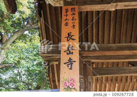 紅葉見頃な長岳寺 109267728