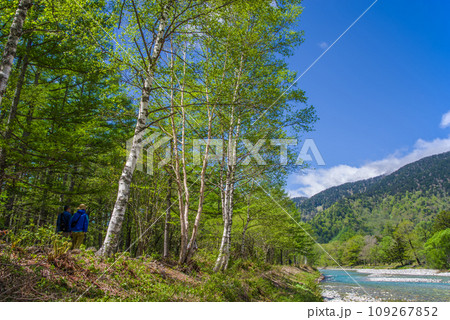 《新緑絶景！初夏の上高地》梓川沿いの遊歩道 109267852