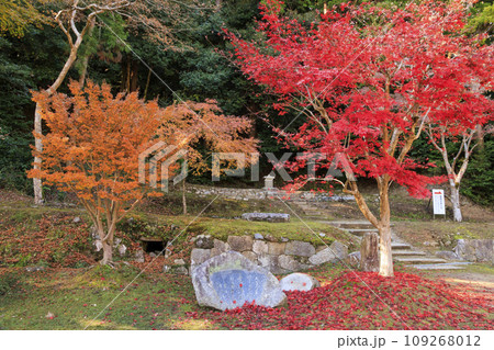 紅葉見頃な正暦寺 109268012