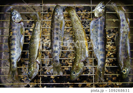 山女魚の燻製 109268631