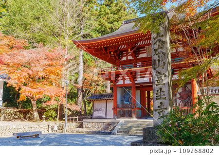 【奈良県】宇陀市 室生寺 (2023/11/21 撮影) 109268802