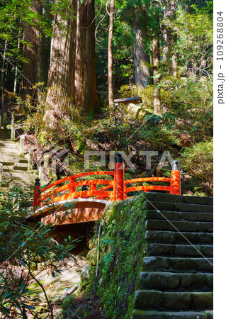 【奈良県】宇陀市 室生寺 (2023/11/21 撮影) 109268804