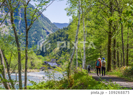 【初緑の上高地】梓川沿いの遊歩道 【初緑の上高地】梓川沿いの遊歩道 109268875